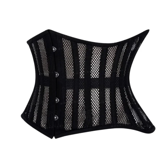 curvy fishnet underbust corset